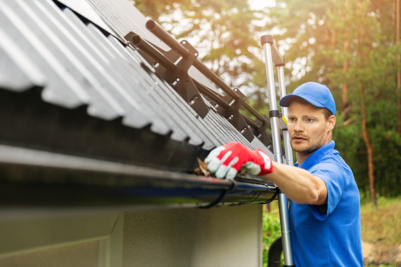 Cleaned Gutter Systems